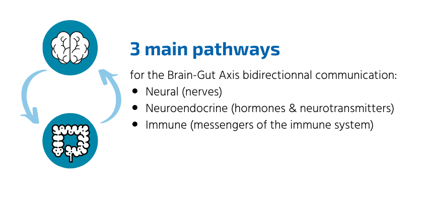 Brain gut axis